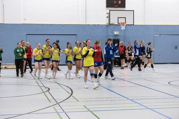 Bild 295 - F HSG Pinnau2 - Rellinger TV2 : Ergebnis: 27:20
